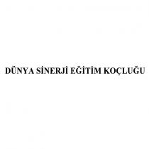 dünya sinerji eğitim koçluğu