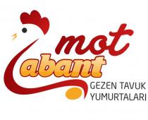 mot abant gezen tavuk yumurtaları