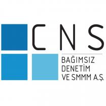 cns bağımsız denetim ve smmm a.ş.