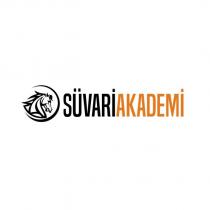 süvari akademi