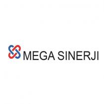 mega sinerji