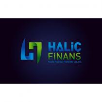 haliç finans analiz finansal hizmetler ltd. şti.