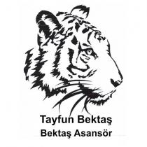 tayfun bektaş bektaş asansör