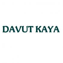 davut kaya