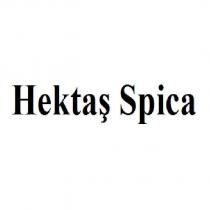 hektaş spica