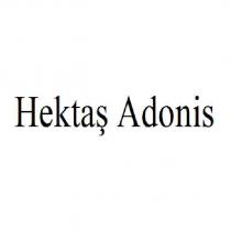 hektaş adonis