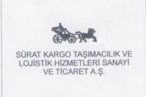 sürat kargo taşımacılık ve lojistik hizmetleri