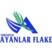 turgutlu ayanlar flake