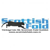 scottish fold kulübü