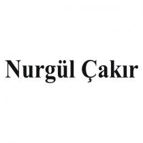 nurgül çakır