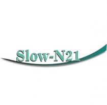 slow-n21