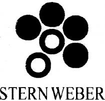 stern weber