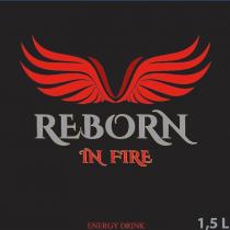 reborn in fire
