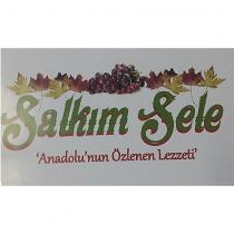 salkim sele ''anadolu'nun özlenen lezzeti''