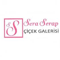 seraserap çiçek galerisi