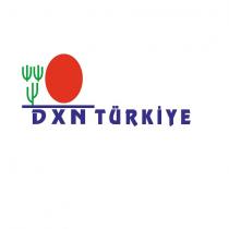 dxn türkiye