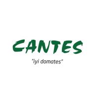 cantes 