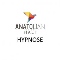 anatolian weavers halı hypnose
