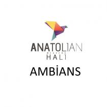 anatolian weavers halı ambians