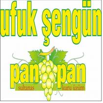 ufuk şengün pan pan sultanas kuru üzüm