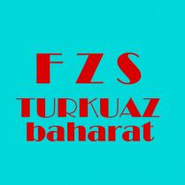fzs turkuaz baharat