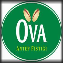 ova antep fıstığı