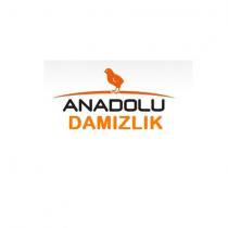 anadolu damızlık