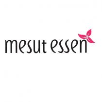 mesut essen