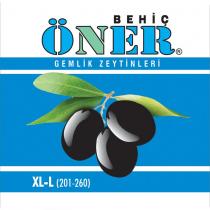 behiç öner gemlik zeytinleri