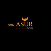 dgn asur turizm