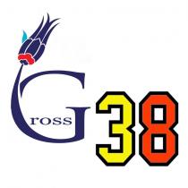 gross 38