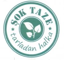 şok taze tarladan halka