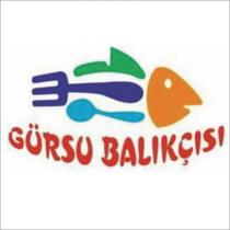 gürsu balıkçısı