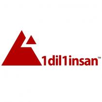 1dil1insan