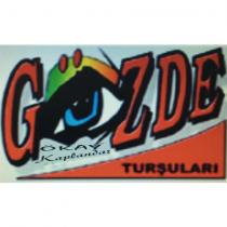 gökay kaplandar gözde turşuları