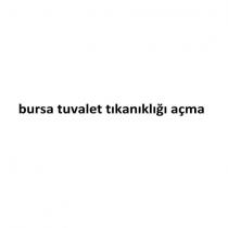 bursa tuvalet tıkanıklığı açma