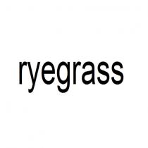 ryegrass