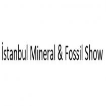 istanbul mineral & fossil show