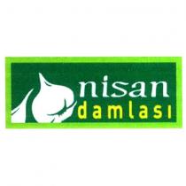 nisan damlası