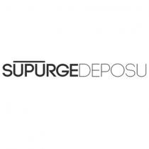 süpürge deposu