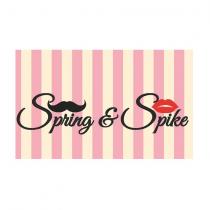 spring&spike