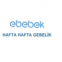 ebebek hafta hafta gebelik