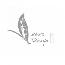 roaya xoxo