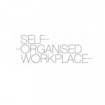 self organised workplace