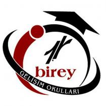 1r birey gelişim okullari