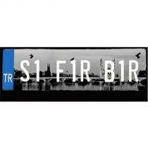s1f1rb1r