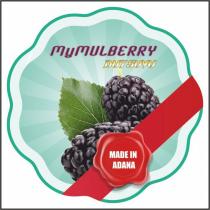 mymulberry dut suyu