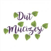 dut mucizesi
