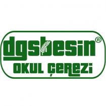 dgsbesin okul çerezi