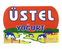 üstel yoğurt